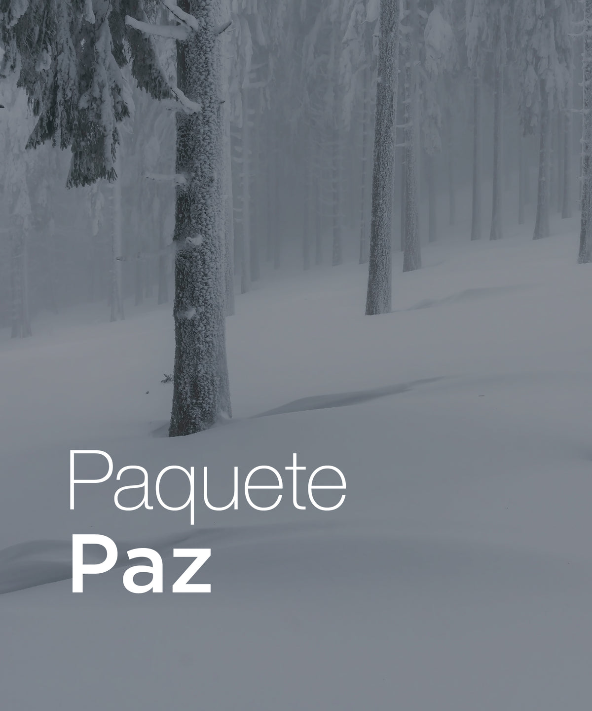 Paquete Paz